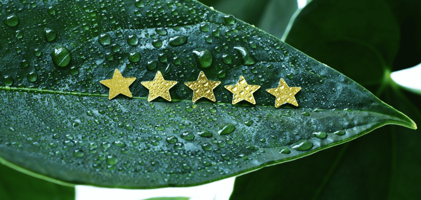 Five golden stars on a dewy green leaf, symbolizing WaveBNB’s AI-powered review automation for boosting Airbnb ratings, rankings, and guest satisfaction Five gold stars on a leaf symbolizing Airbnb 5-star reviews and guest satisfaction