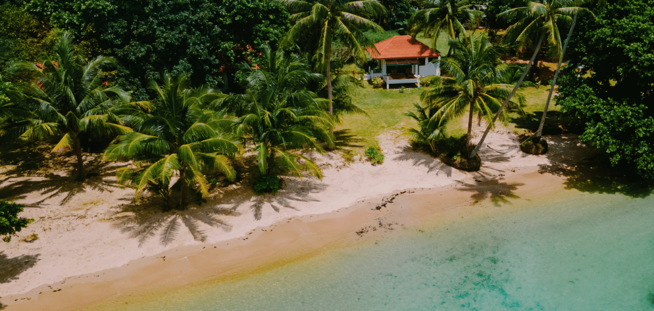 Aerial view of a beachfront Airbnb property with lush greenery, showcasing the impact of professional photography in attracting more bookings with WaveBNB Drone view of a tropical beachfront Airbnb with palm trees and a red-roof villa captured by WaveBNB.