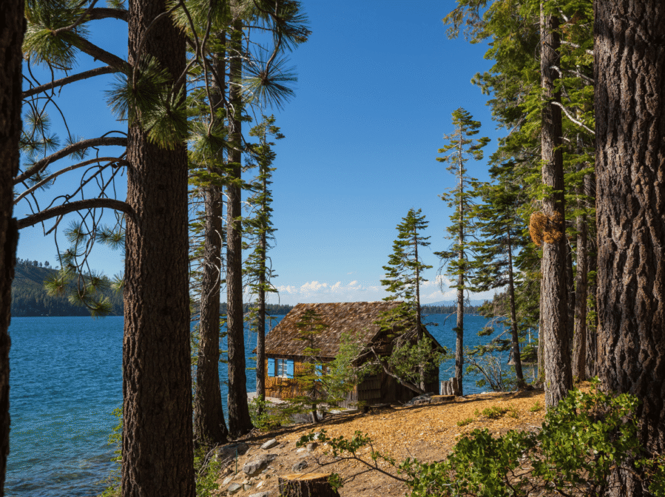 Secluded lakefront cabin surrounded by tall pine trees, overlooking a pristine blue lake—illustrating how WaveBNB’s Airbnb retargeting strategy helps property managers recover lost bookings and ma