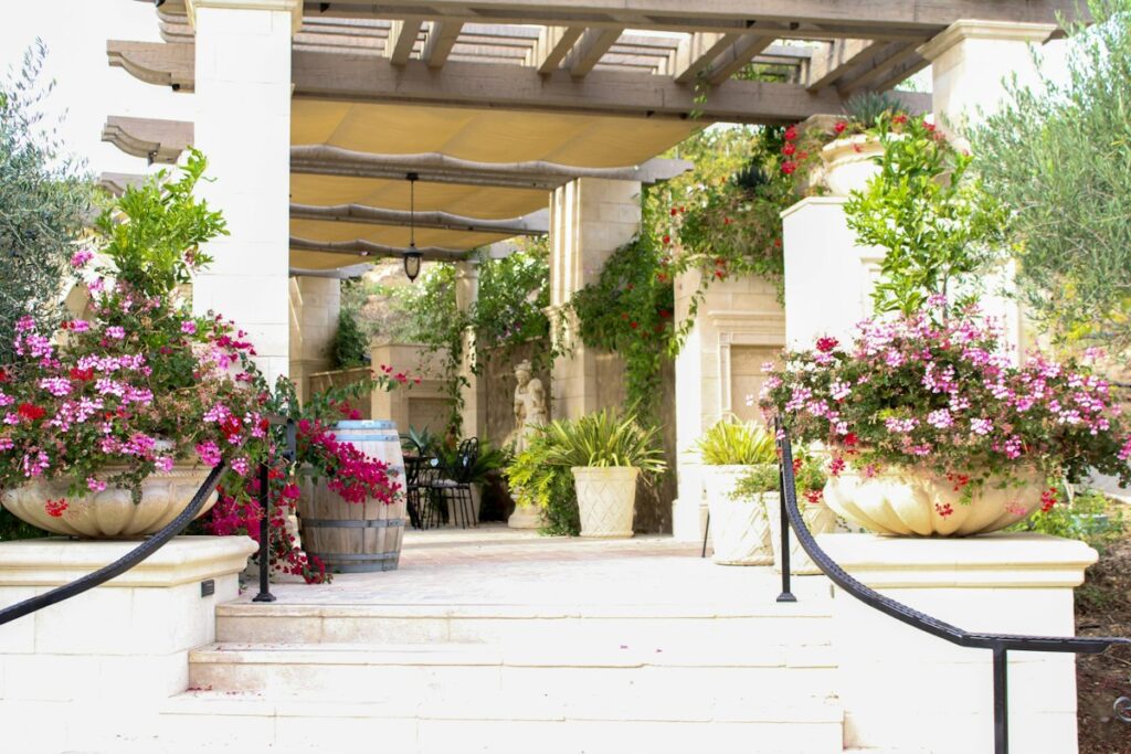 A light-filled courtyard with flowering plants and a pergola