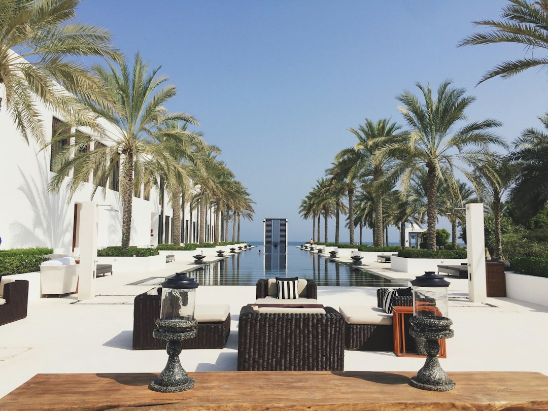 A long resort pool is framed by palm trees, white architecture and woven lounge seating.